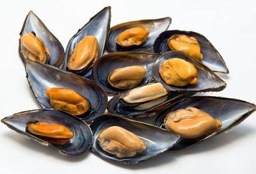 cozze su un piatto