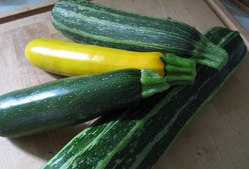 zucchini