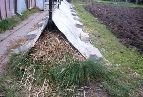 Letto di rifugio con gigli