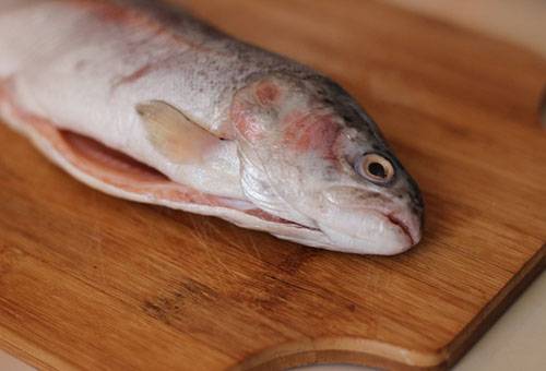 Gutted Trout Carcass