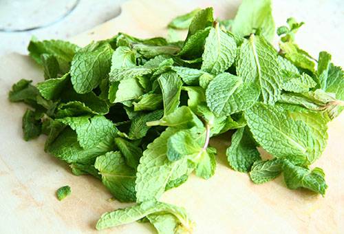 Mint blank for drying