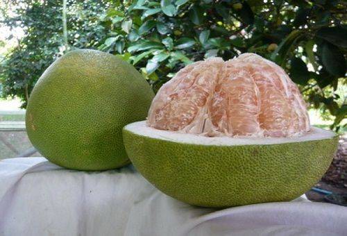 pomelo di frutta esotica