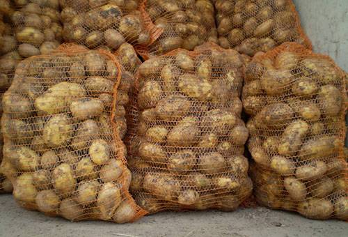 Patate in sacchetti di rete