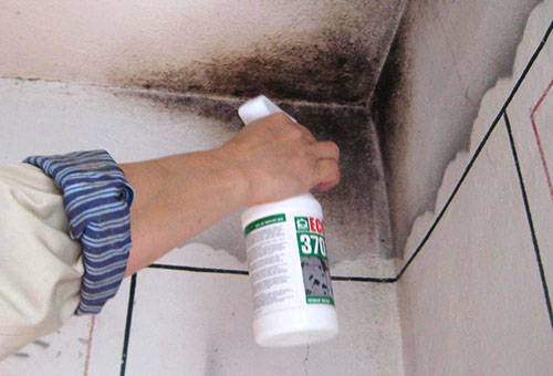 Mold removal in the bathroom