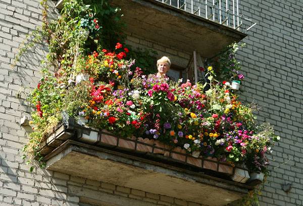 Molti colori sul balcone