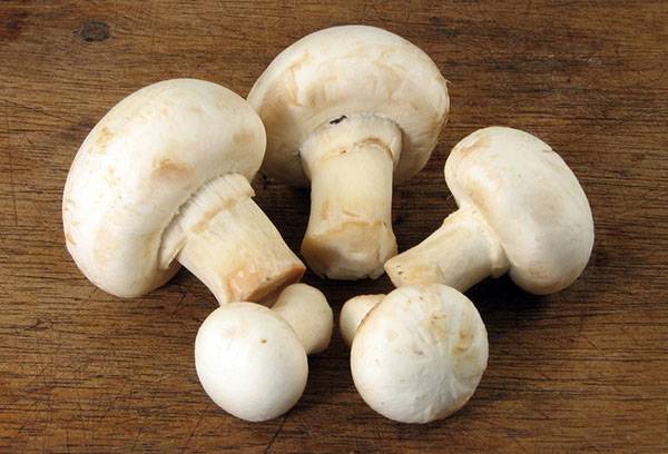 Champignon interi per il congelamento