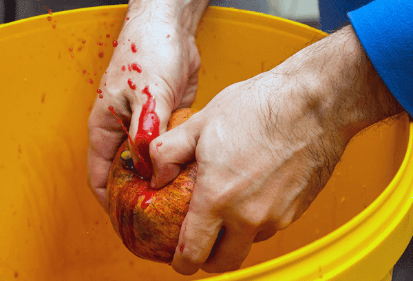 succo di melograno a portata di mano