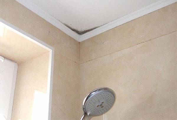 Macchia nera sul soffitto nell'angolo