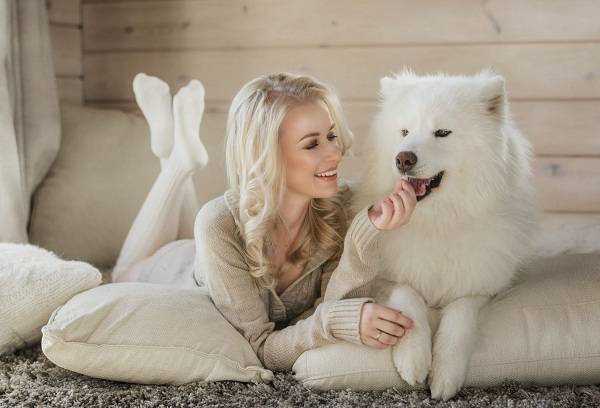 Ragazza con un cane bianco a casa