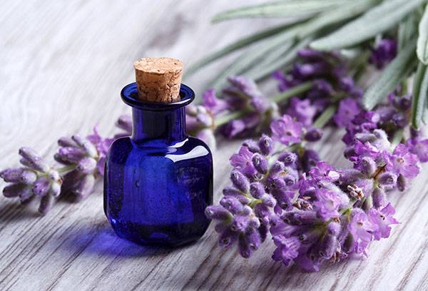 Olio essenziale di lavanda