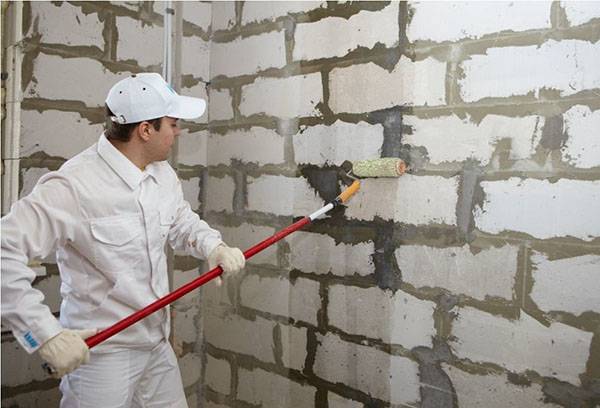 Primer wall surface