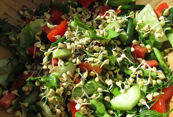 Insalata di grano saraceno verde