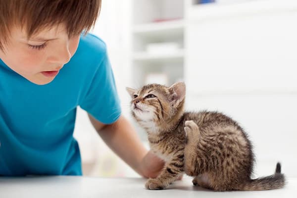 Ragazzo con un gattino