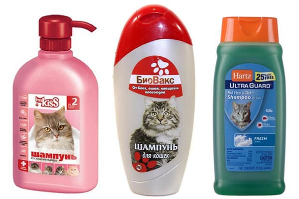 Shampoo veterinari