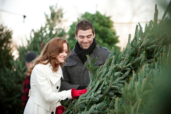 La scelta di un albero di Natale