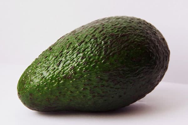 Frutto di avocado