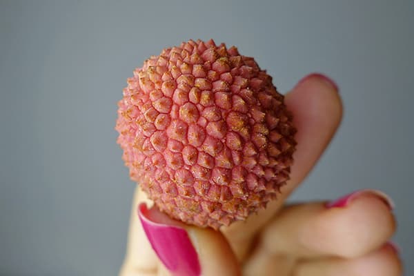 Frutto di litchi