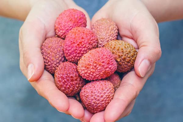 Una manciata di frutti di litchi nelle mani