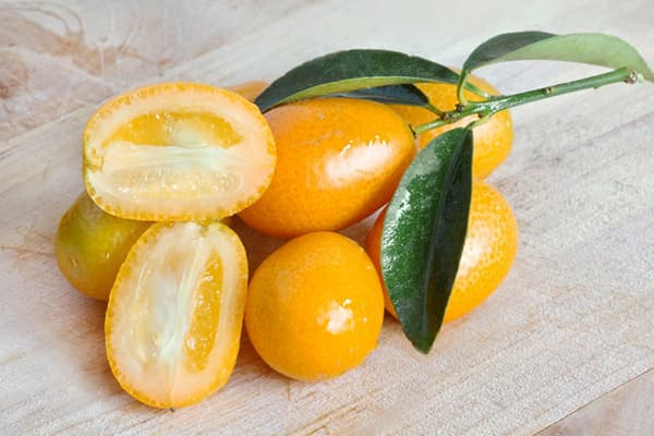 Kumquat frutti e foglie