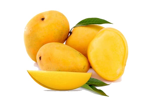 Mango Alfonso