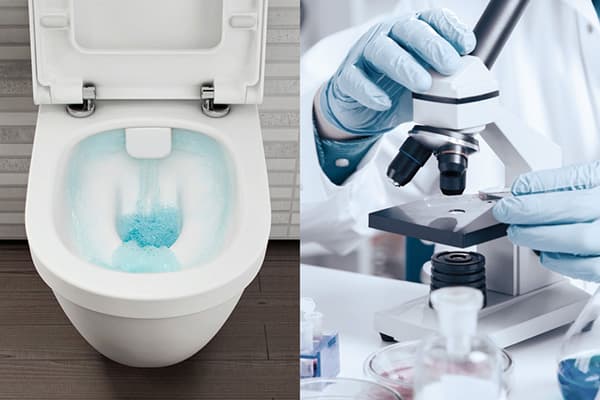 Lo studio dell'ambiente microbiologico nella toilette