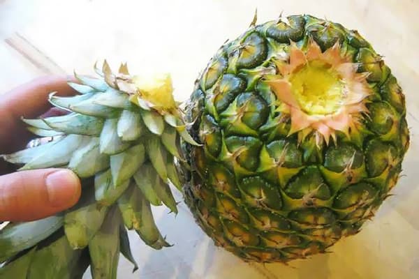 Separare la parte superiore dall'ananas