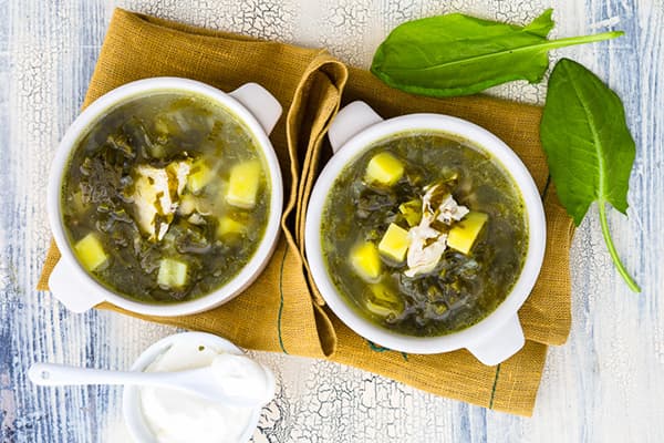 Borsch verde con acetosa