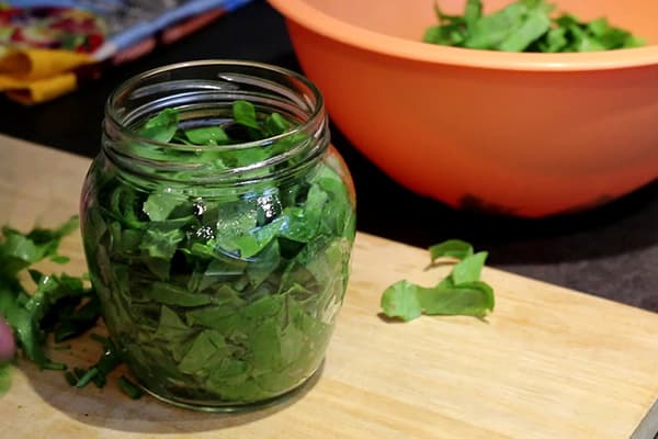 Acetosa tritata in un barattolo di vetro