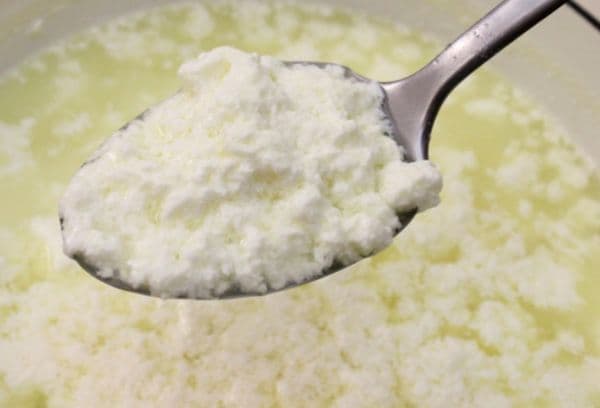 Ricotta kefir fatta in casa