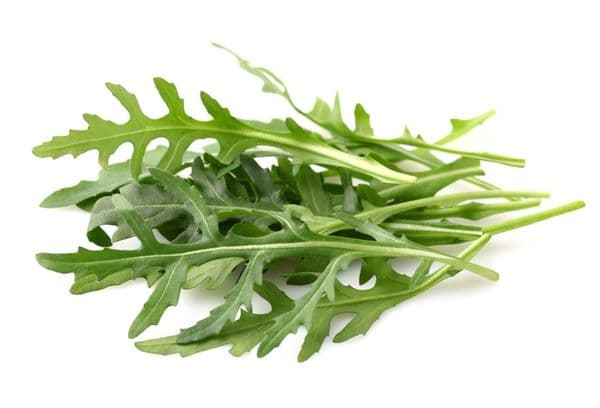 Congelamento della rucola