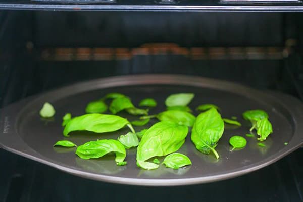 Asciugare il basilico in forno