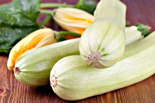 Zucchine Fresche