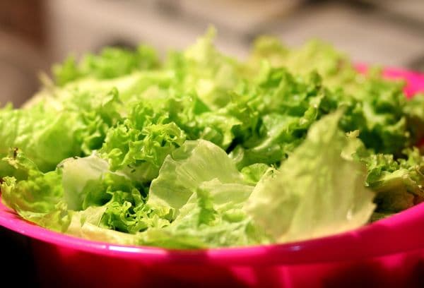 Insalata di foglie verdi lavate