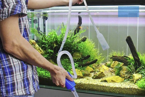 Pulire l'acquario prima di cambiare l'acqua