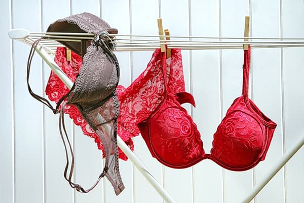 Bras on the dryer