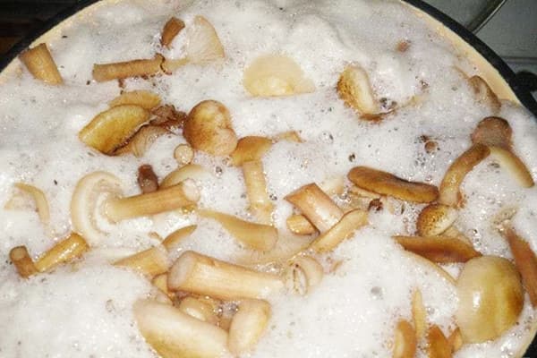 Schiuma da cucina ai funghi