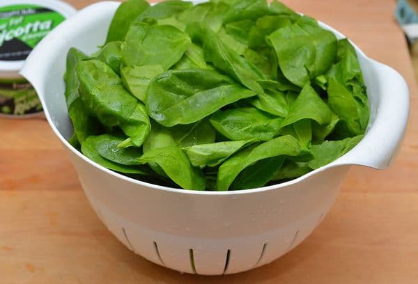 Congelamento di foglie intere di spinaci