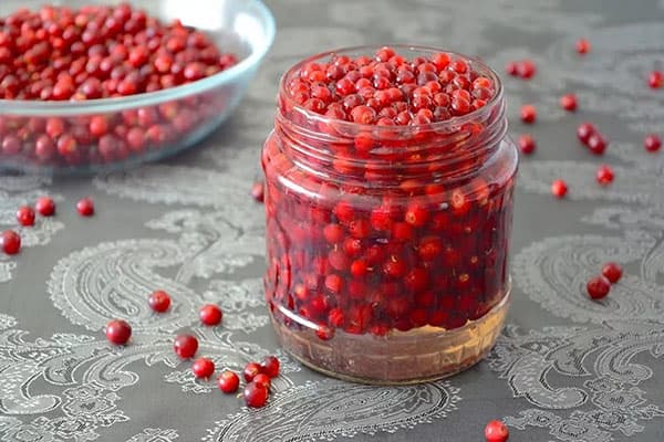 Bacche di mirtillo rosso in un barattolo di vetro