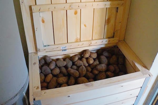 Una scatola di patate sul balcone