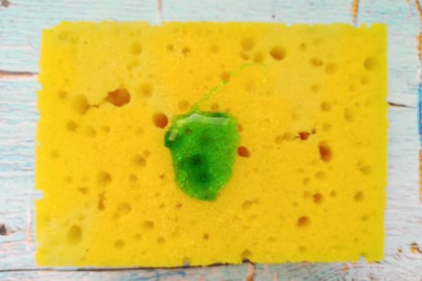 Dishwashing liquid on a sponge