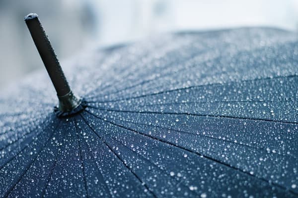 Drops of water on the umbrella dome