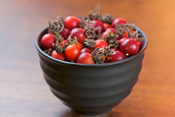 Ciotola con rosa canina