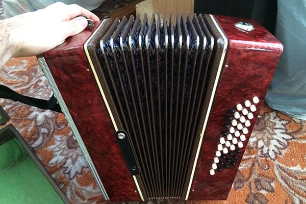 Children's button accordion