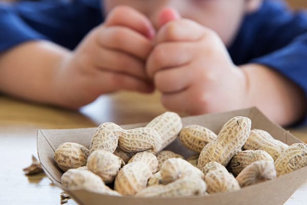 Il bambino sbuccia le arachidi